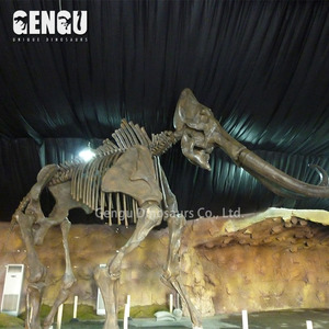 Chất Lượng cao Handmade Mamont Skeleton Động Vật Mô Hình Bộ Xương - Product Image 1