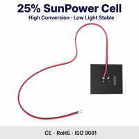 Panel Surya Mini Sunpower Langsung dari Pabrik 5V 6V 0.2W 0.5W 1W 2W 3W SMT PV untuk Lampu LED Kamera CCTV Sensor GPS
