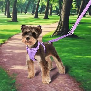 Grosir kalung hewan peliharaan dapat disesuaikan tahan air Set kalung anjing mewah kalung Anjing khusus <span class=keywords><strong>harness</strong></span> anjing - Product Image 4