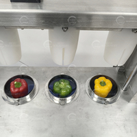 Hexu 304 RVS Paprika Ontkerningsmachine met Motor, Multifunctioneel voor Groente- en Fruitverwerking