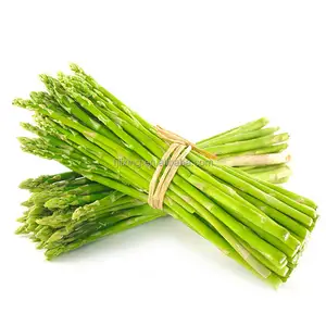 Produsen dari Cina beku sayuran Asparagus putih kering