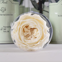 HFloral Saint Valentin Cadeau Fleur Éternelle Rose Préservée Avec Tige Vraie Fleur Préservée Roses d'Austin Pour Fleuriste