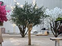 Arbres artificiels en fibre de verre et métal, faux oliviers noirs, grands, faits à la main, petites plantes artificielles avec base pour la décoration intérieure