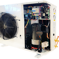 Unité de condensation à compresseur scroll Dashang 3HP 4HP basse température R404A de type coffre pour chambre froide et congélateur walk-in