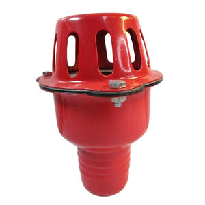 Juego de Bomba de Agua de Tres Piezas de 2 Pulgadas con Filtro de Hierro, Válvula de Retención, Filtro de Recipiente, Incluye Junta de Sellado y Tornillos de Montaje - Product Image 4