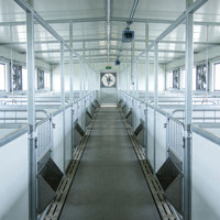 Edificio para Granja Avícola de Diseño Moderno, Gallinero Completamente Automatizado