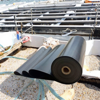 Géomembrane HDPE de 1 mm à 2 mm de haute qualité, résistante aux UV et imperméable, pour bassins d'aquaculture, élevage de crevettes et poissons, barrages et décharges.