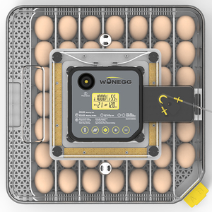 Hd Volautomatische Incubator Voor Het Uitbroeden Van 48 Eieren Te Koop - Product Image 6