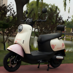 Motocicleta Eléctrica <span class=keywords><strong>TF</strong></span> 2026 48/60V sin Escobillas de Bajo Precio con Características Clave, Exportada a Sudamérica - Product Image 6