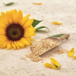 Poudre <span class=keywords><strong>de</strong></span> <span class=keywords><strong>lécithine</strong></span> <span class=keywords><strong>de</strong></span> tournesol <span class=keywords><strong>de</strong></span> haute qualité, non OGM, émulsifiant naturel pour la production alimentaire et chocolatière - Product Image 4