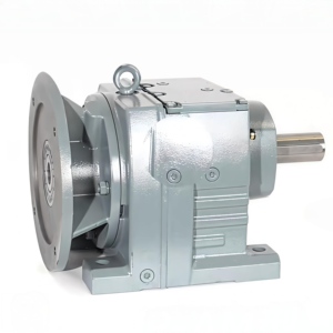 Réducteur hélicoïdal à montage sur pied série R avec rapport 20:1 et arbre creux pour machines industrielles (ODM disponible) - Product Image 3