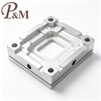 P&M Usine de Traitement de Produits Plastiques Personnalisés et de Moulage par Injection de Haute Qualité