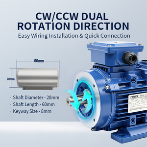 มอเตอร์ไฟฟ้ากระแสสลับแบบอะซิงโครนัสสามเฟส YE3-100l2--4-3kw ประสิทธิภาพสูง เสียงรบกวนต่ำ โครงอะลูมิเนียม สำหรับปั๊มน้ำ - Product Image 6