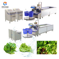 Fengxiang Leavy Groente Vortex Was- en Droogmachine 2000kg/u Basilicumbladeren Munt Sla Zachte Vortex Wasmachine
