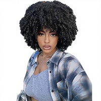 Perruque Afro Synthétique Transparente à Petites Boucles Volumineuses, Résistante à la Chaleur, Faite à la Machine, Densité 150%, Vente en Gros