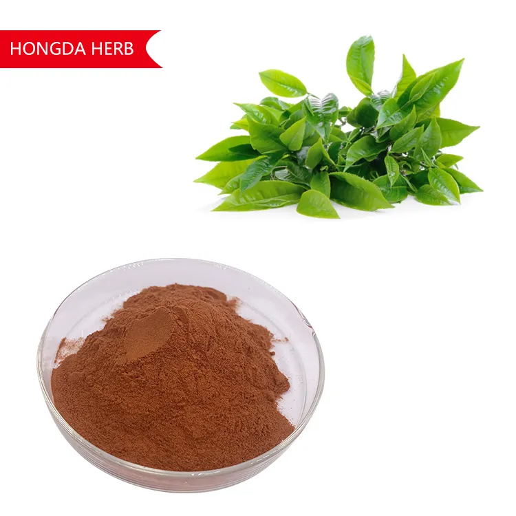 Green Tea Extract Tea Polyphenol 84650-60-2 Pure 98% Tea Polyphenols