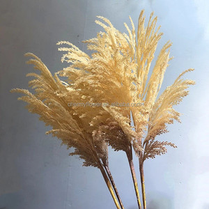 Arreglo de flores artificiales de seda para boda, el más vendido, <span class=keywords><strong>Phragmites</strong></span> <span class=keywords><strong>Australis</strong></span>, el más vendido de la tienda, el 2 de agosto de 2017 - Product Image 2