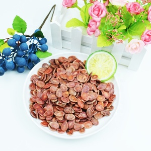 Graines de pastèque de couleur rouge mongole intérieure de vente chaude avec l'écrou de coquille - Product Image 5