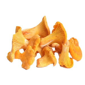 Health way Supply Pfiff erling Pilzex trakt Pulver Pfiff erling Pilzex trakt - Product Image 2