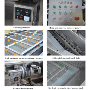 Ý Lớn 100000Kg/HR Bong Bóng Lê Và Rau Rửa Thiết Bị Rau & Trái Cây Máy Giặt Cho Trái Cây - Product Image 6