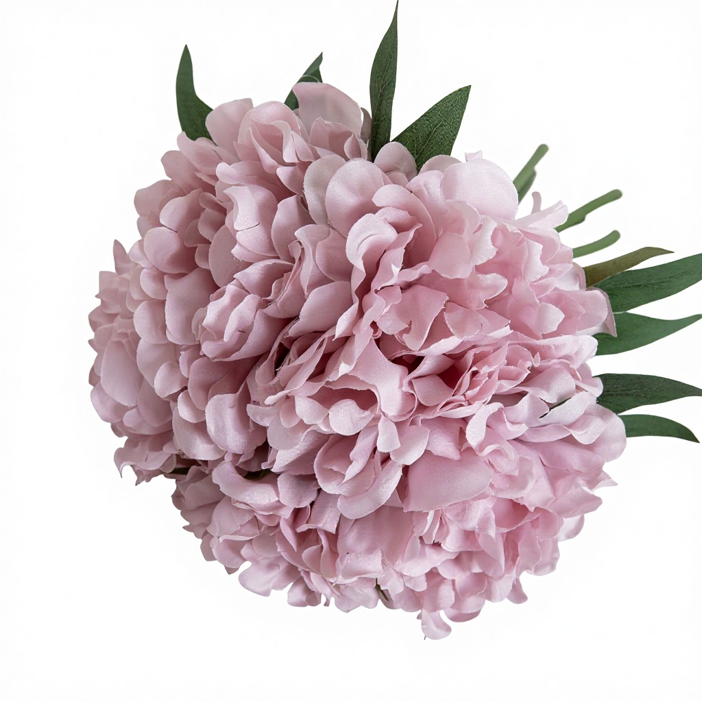 สีม่วงสง่างาม