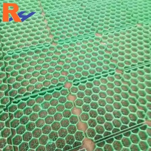 Rejilla de Plástico HDPE para Césped, Pavimentación de Entrada de Autos, Refuerzo de Césped, Rejilla para Plantar Césped para Estacionamiento - Product Image 1