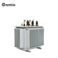 GIANTTREE 11Kv125kva s11oil yağ batırılmış güç trafosu 10KVA-50000KVA tam kapsüllü dağıtım transformatörü sıcak satış