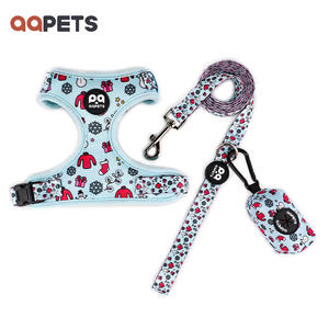 Arnés de perro con diseño de impresión personalizada, conjunto de correa, Collar, Bandana, pequeño, ajustable, sin tirones, conjunto de correa, patrón de calavera - Product Image 6