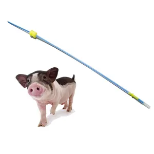 قثالة للتلقيح الاصطناعي تستخدم لمرة واحدة ، قثالة للتلقيح الاصطناعي للخنازير بقفل ، قثالة لبذر الحيوانات