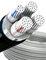 Câble d'alimentation basse tension en aluminium XLPE, indice de protection IP54, 0,6/1 KV, pour distribution primaire