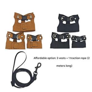 Imbracatura Regolabile in PU Solido con Corda a Strappo e Decorazione a Sciarpa per Piccoli Animali Domestici e Rettili, Modello Divisibile - Product Image 3