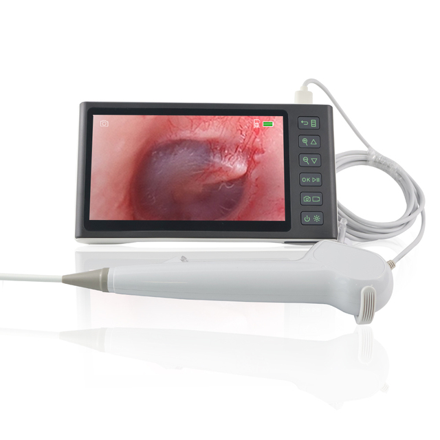 Disposable Medical Flexible Endoscope Camera with 7inch Screen for Ent Laryngoscopy