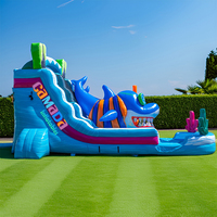 Toboggan aquatique gonflable à une voie avec piscine, design requin 3D, aire de jeux aquatique extérieure pour le plaisir estival