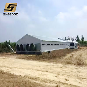 بيت دجاج مزرعي بهيكل فولاذي، معدات تربية الحيوانات، محمول للدواجن البياض، يستخدم كبيت دجاج مزرعي - Product Image 4