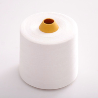 Deyuanchang Ne30S/1 100% poliéster Vortex hilado de alta tenacidad para tejer tejido suministro directo de fábrica precio competitivo