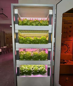 Système d'irrigation hydroponique vertical automatique d'intérieur avec pompe, respectueux de l'environnement, certifié qualité alimentaire, pour ferme et maison, léger - Product Image 4
