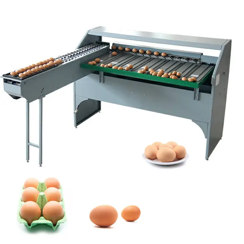 Clasificador automático de tamaño de pollo, lavadora pequeña y clasificador, clasificación, máquina de grado de huevo en venta