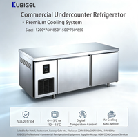 Réfrigérateur de table commercial 300L en acier inoxydable, congélateur à température unique