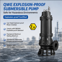 Pompe submersible antidéflagrante 50QWE en fonte pour eaux usées souterraines de stations-service et applications chimiques