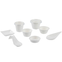 Plateau de service pour petits apéritifs jetables biodégradable en canne à sucre, mini assiette de dégustation, cuillère en forme de feuille de citron et d'œuf