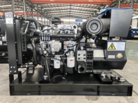 Groupe électrogène diesel silencieux refroidi par eau Yuchai 180 kW 225 kVA, triphasé 50 Hz/60 Hz, avec capot insonorisé et ATS, pour utilisation en veille