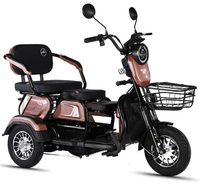 Vélo électrique 48V 1000W avec moteur arrière sans balais, vélo de ville électrique à 3 roues en alliage d'aluminium, batterie au plomb-acide