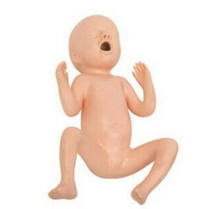 Modèle <span class=keywords><strong>de</strong></span> mannequin en PVC BIX-FT331B 30 semaines <span class=keywords><strong>de</strong></span> prématuré pour les <span class=keywords><strong>sciences</strong></span> médicales et l'apprentissage des nouveau-nés dans les écoles - Product Image 1