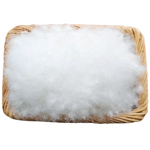 Plumón <span class=keywords><strong>de</strong></span> ganso blanco RDS para hombre, mujer y niño, chaqueta y abrigo fino <span class=keywords><strong>de</strong></span> alta calidad - Product Image 5