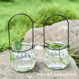 Botellas de vidrio colgantes con forma de calabaza para cultivo hidropónico, decoración del hogar - Product Image 1
