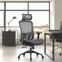 Chaise de bureau pivotante de luxe en maille Chaise de conférence moderne avec soutien lombaire réglable Chaises de direction commerciales ergonomiques