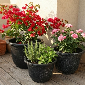 Pots de plantes en plastique multi-tailles, texture mouchetée, jardinières pour fleurs, herbes, légumes, pots de jardin durables pour l'extérieur - Product Image 5