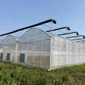 农业设备使用智能玻璃温室自动垂直水培种植系统农业