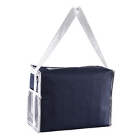 Boîte à lunch portable avec logo personnalisé, sac isotherme à grande poignée, polochon souple et étanche en maille, isolé pour aliments