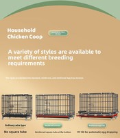 Cage à poules domestique grande capacité pour l'élevage de canards, oies, cailles avec plateau à œufs, installation facile, cage à poules en fer